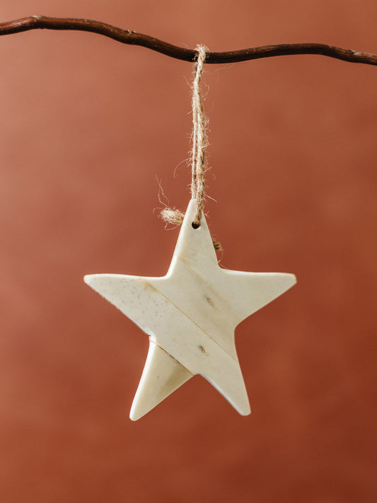 Handmade Bone & Wood Ornament Set